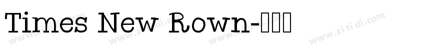 Times New Rown字体转换